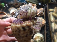 -盒马鲜生(悦峰店)