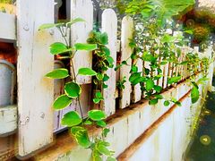 -凤凰御元艺术基地