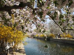 -元大都城垣遗址公园