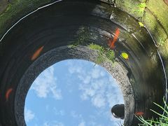 -泰宁旅游风景名胜区