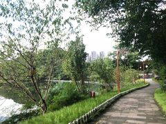 -重庆彩云湖湿地公园