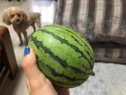 -如一·美甲美睫