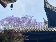 -龙潭水乡