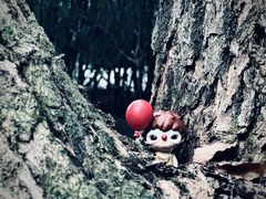 -潜山国家森林公园