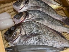 -镹·鱼料理  国产鱼使用店