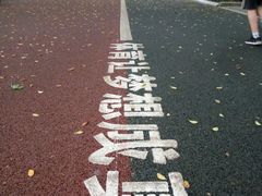 -南宁南湖公园