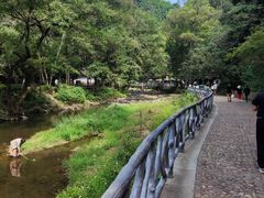 -五泄景区