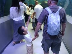 -洛阳龙门海洋馆
