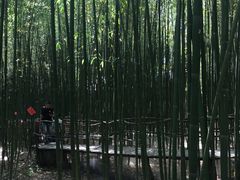 -竹泉村旅游度假区