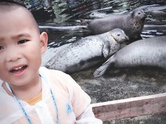 -渔岛海洋度假区