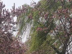 -羊山湖公园