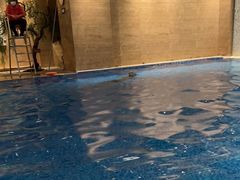 -斯博特游泳俱乐部(永安里店)