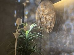 -施奈儿.洗头頭療.按摩SPA.采耳(上梅林店)