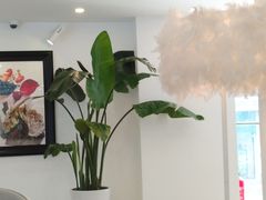 -PETIT PARIS 小巴黎(凯德1818店)