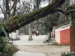 -岳麓山风景名胜区