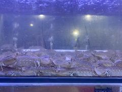 -海之鲜大排档(东山海鲜金銮湾店)