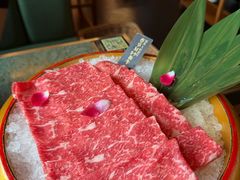 -牛New寿喜烧(金鹰世界店)