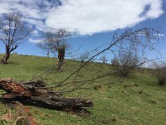 -硗碛藏寨·神木垒景区