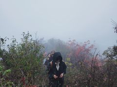 -秦岭风景区