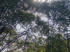 -飞天山旅游区