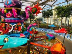 -南宫五洲植物乐园