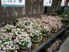 -鹿岛会员店 (龙湖三千集天街店)