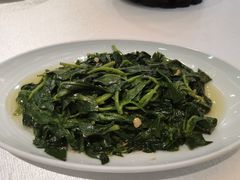 -欢乐海岸美食联盟
