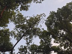 -安吉美渝石锅鱼(芜园西路店)