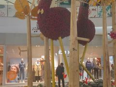 -凯德广场(学府店)