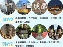 -成都大熊猫繁育研究基地