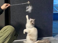 -零纪元VR体验馆·桌游(黄浦店)