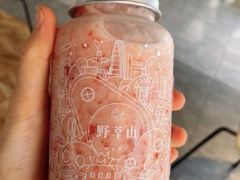 -野萃山·潮汕厚果汁(十亩地店)