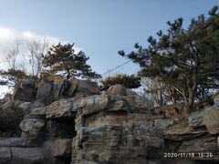 -莲花池公园