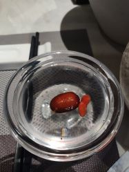 -悦鼎会海鲜姿造·宴会厅(东方明珠广场店)