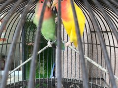 -老味道民宿(栈桥店)