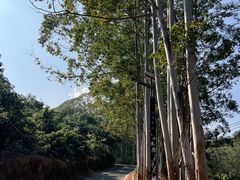 -罗浮山嘉宝田森林温泉度假酒店