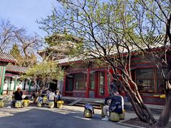 -宫事颐庭·老佛爷贵寿下午茶(颐和园店)