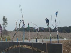 -企鹅岛