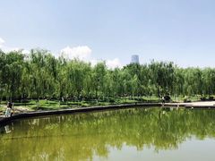 -雁滩公园