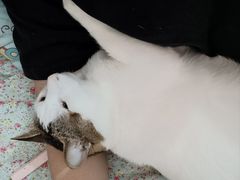 -深圳野生动物园
