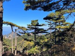 -黄山风景区