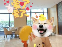 -西安高新希尔顿酒店·咖啡露台西餐厅