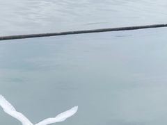 -荔湾湖公园