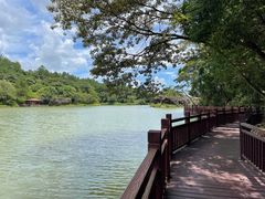 -广州白江湖森林公园