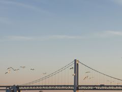 -星海湾跨海大桥