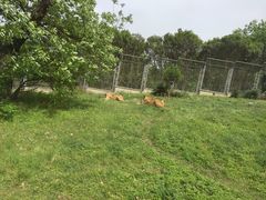 -西安秦岭野生动物园