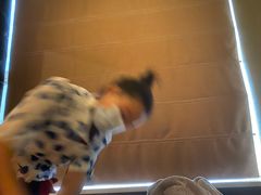 -臻江南影院式足道(雅安店)