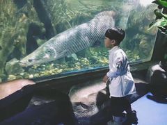 -梦幻海洋王国(吾悦广场张家港店)
