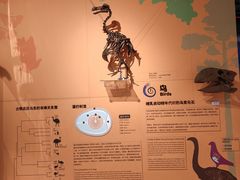 -正佳自然科学博物馆