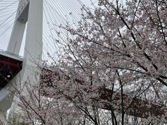 -南浦大桥长途旅游客运站